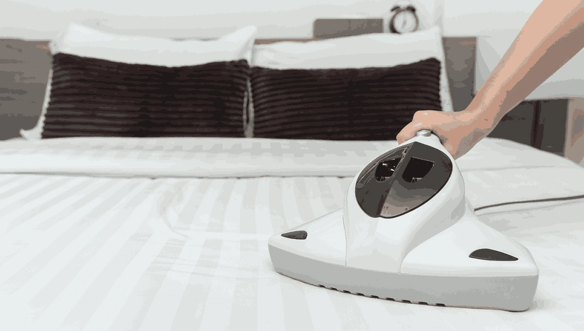 Professional Mattress Cleaning Arthurs Creek
